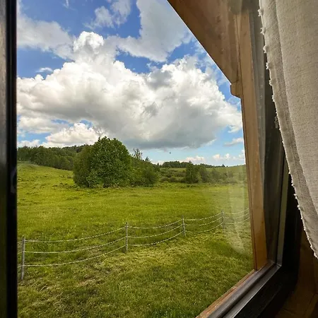 Casutele Din Poiana