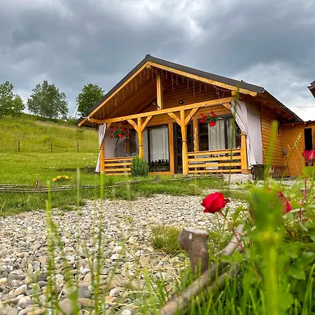Casutele Din Poiana Lodge